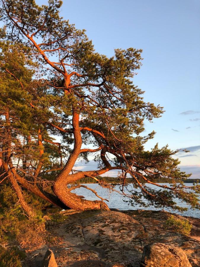 Joarsbo, Stuga 1, Sjoelyckan Kalv Екстериор снимка